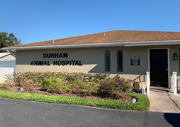 Dunham Animal Hospital | Winter Haven veterinarians