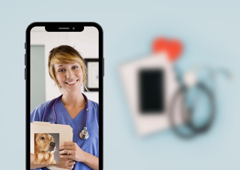 Carousel Slide 9: Now Offering TeleHealth Appointments